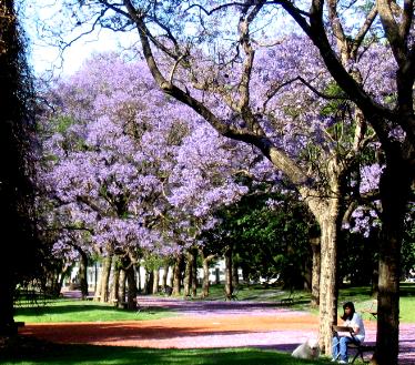 Palermo Park